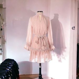 Strawberries & Champagne Mauve Pink Metallic Thread Cocktail Dress